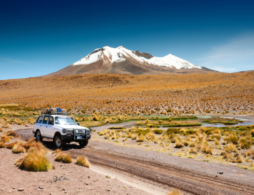 Altiplano Plateau, Bolivia